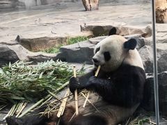 -秦皇岛野生动物园