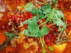 -川堂风·跷脚牛肉·乐山爆炒(宝山日月光店)