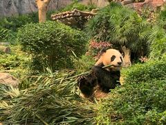 -石排湾郊野公园