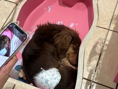 -Hi City·城市之巅