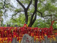 -大槐树寻根祭祖园