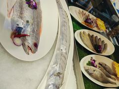 -舟小鲜·舟山小渔村(凤城四路中登广场店)