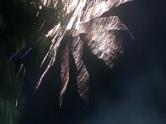 -三姐妹·海鲜大排档