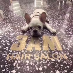 点击看大图 -3AM HAIR SALON烫发染发接发