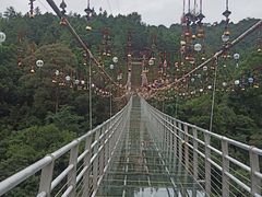 -九龙江国家森林公园