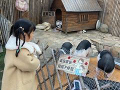 -HERRE·FARM 赫尔露营农场·团建聚会包场