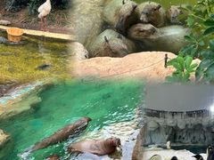 -珠海长隆海洋王国