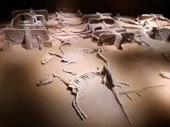 -洛阳周王城天子驾六博物馆