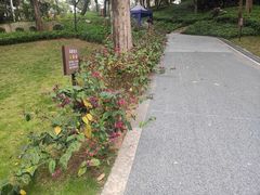 -炮台山公园