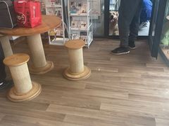 -哆趣宠物医院·眼科·内镜·急重症转诊中心(上海店)