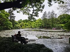 -杭州植物园