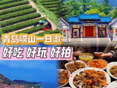 -单家老院·院子里的青岛菜(沙子口店)