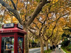 -一尺花园(安和花园店)