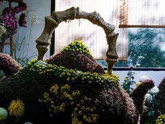 -杭州植物园