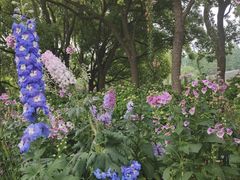 -上海滨江森林公园