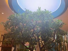 -悦海·家宴·冰花皮皮虾大锅贴(宝龙店)