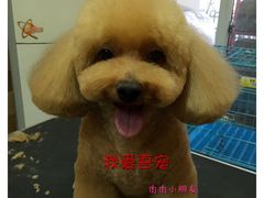 -我爱吾宠宠物美容院(朝阳路店)