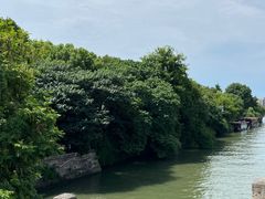 -运河游船(武林门码头)