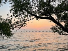 -宝安西湾红树林湿地公园