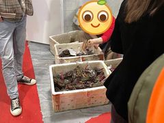 -凤凰路何眼镜香辣蟹(花果园店)