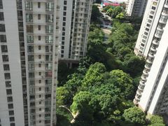 -新湖明珠城