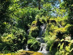 -Chom Cafe and Restaurant