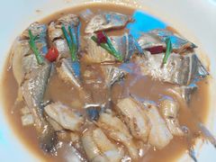 红烧东海小海鲜-宴周康·精致江浙菜(周浦店)