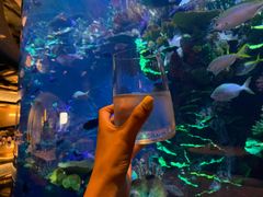 -迪拜帆船酒店海底餐厅