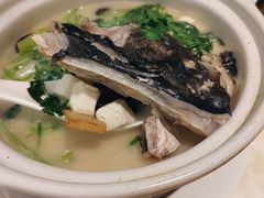 -港丽餐厅(高德置地店)