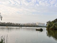 -洋湖国家湿地公园