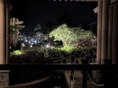 -三亚亚龙湾希尔顿酒店