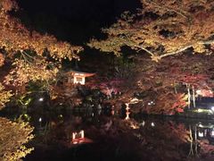 -醍醐寺