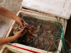 -胜海大排档·海鲜·黄鳝饭(十年老店)