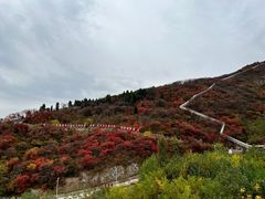 -博山九龙峪风景区