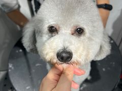 -宠物家(大兴旧宫店)