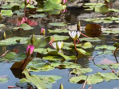 -龙环葡韵住宅式博物馆