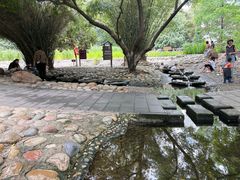 -成都市活水公园