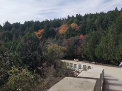 -府君山公园
