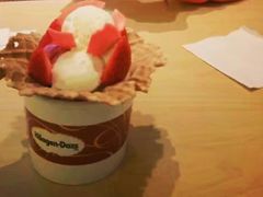 -哈根达斯(龙湖时代天街店)