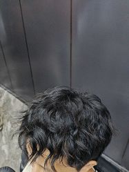 -藤野造型