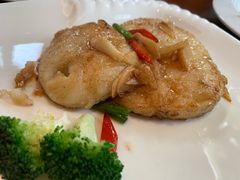 银鳕鱼-浙江宾馆·花园餐厅·自助餐厅·茶吧
