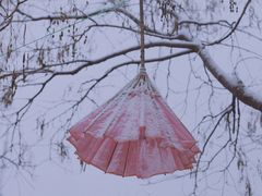 -河间府署