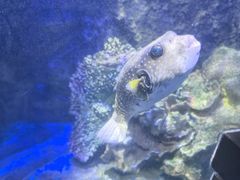 -太平洋海底世界