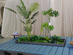 -壹加壹医疗美容·轻医美·美容外科