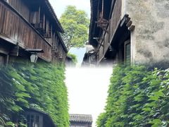 -乌镇景区