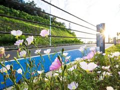 -苏州吴中太湖旅游区