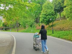 -沐仙湖湿地公园