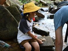 -广州白江湖森林公园