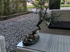 -松亭·铁板烧(欢乐海岸店)
