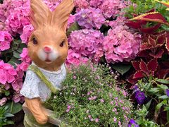 -人民公园(罗湖区)